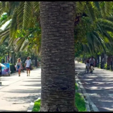 Hotell Joli Alba Adriatica