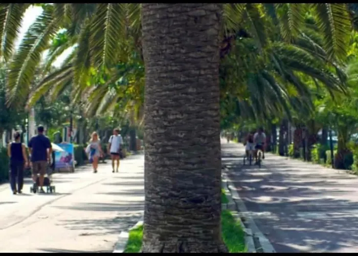 호텔 Joli 알바아드리안티카